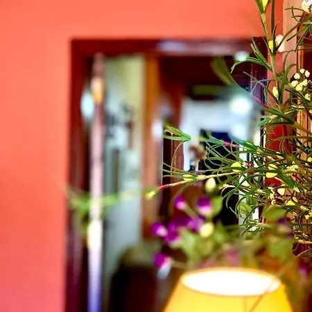 Chimaca Homestay Arona (Tenerife)