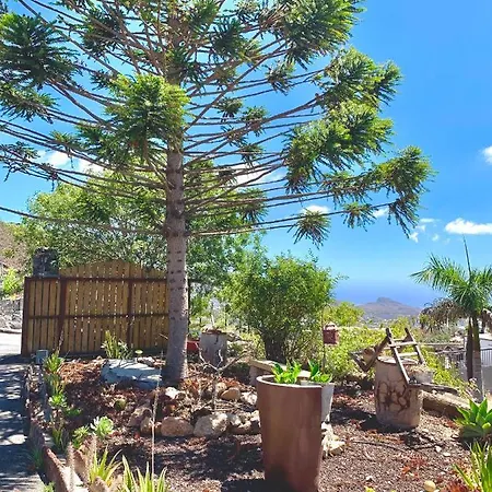 Chimaca * Arona (Tenerife)